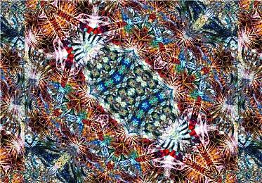 花12年做的游戏只卖几千份 独立开发者痛心不已